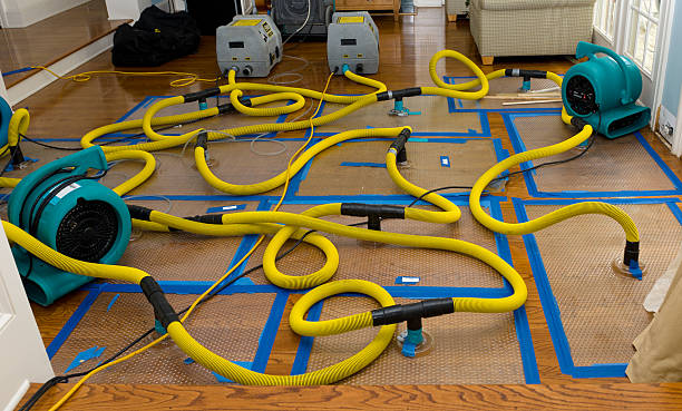 Professional Crawl Space Water Removal technician working in Memphis, FL